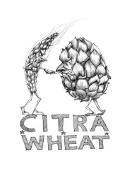 citra-wheat-small-791x1024